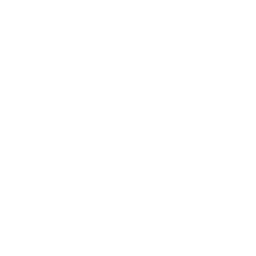 vue js